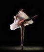 THE INTERNATIONAL BALLET GALA 